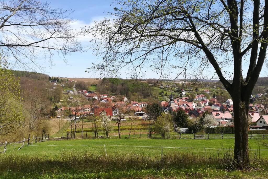 Ferienhaus Zum Kuckuck, Wng 2, Urlaub Im Eichsfeld Kallmerode المظهر الخارجي الصورة