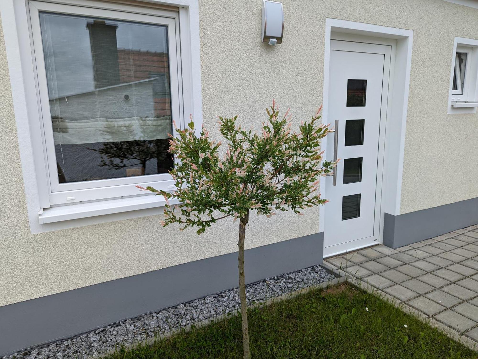 Ferienhaus Zum Kuckuck, Wng 2, Urlaub Im Eichsfeld Kallmerode المظهر الخارجي الصورة
